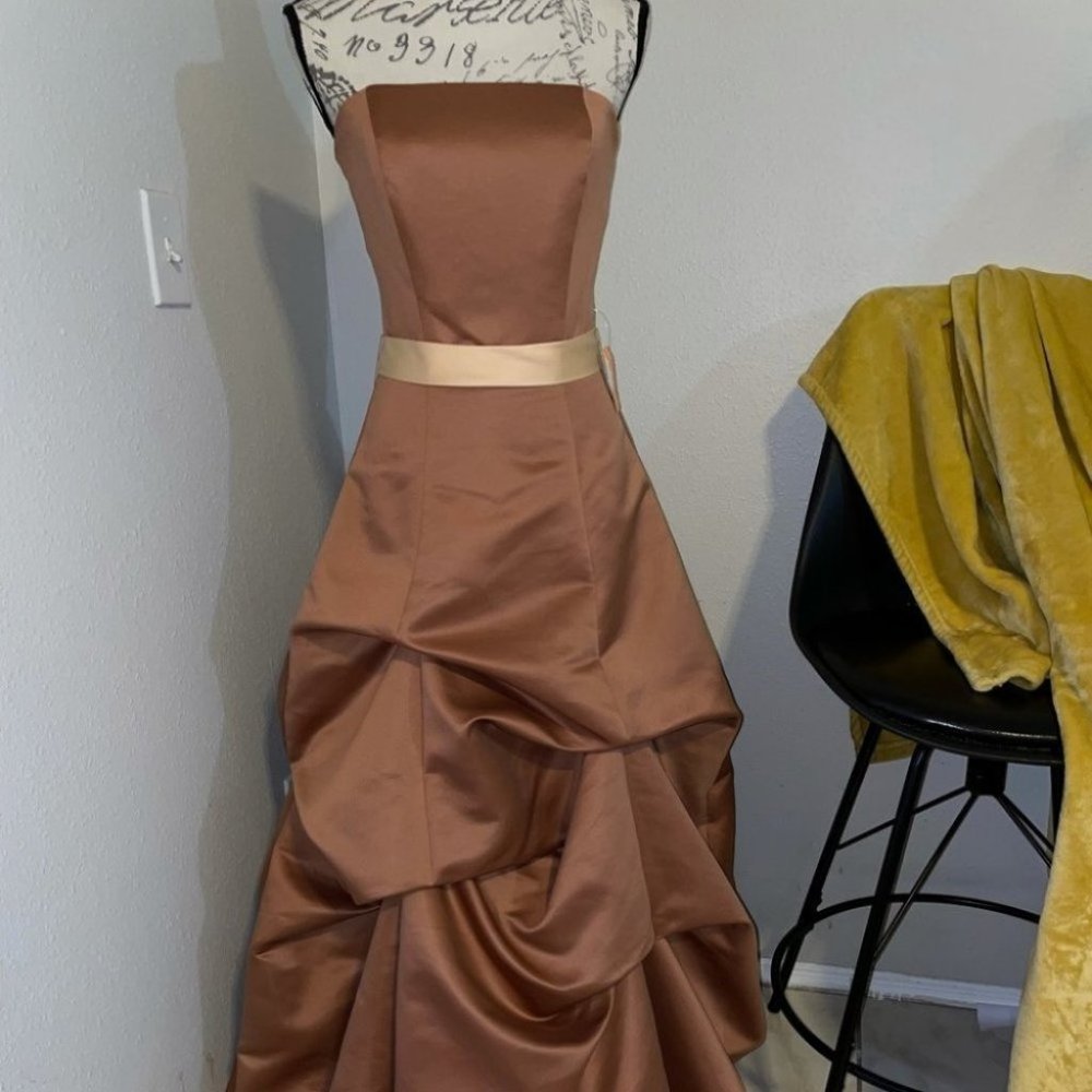 Brown and Gold Princess Gown